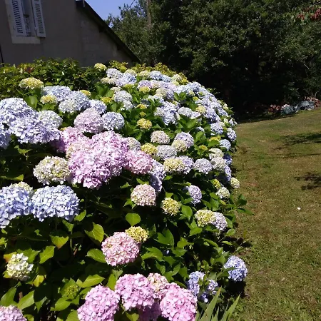 Le Poulailler Holiday home Mareuil-sur-Lay